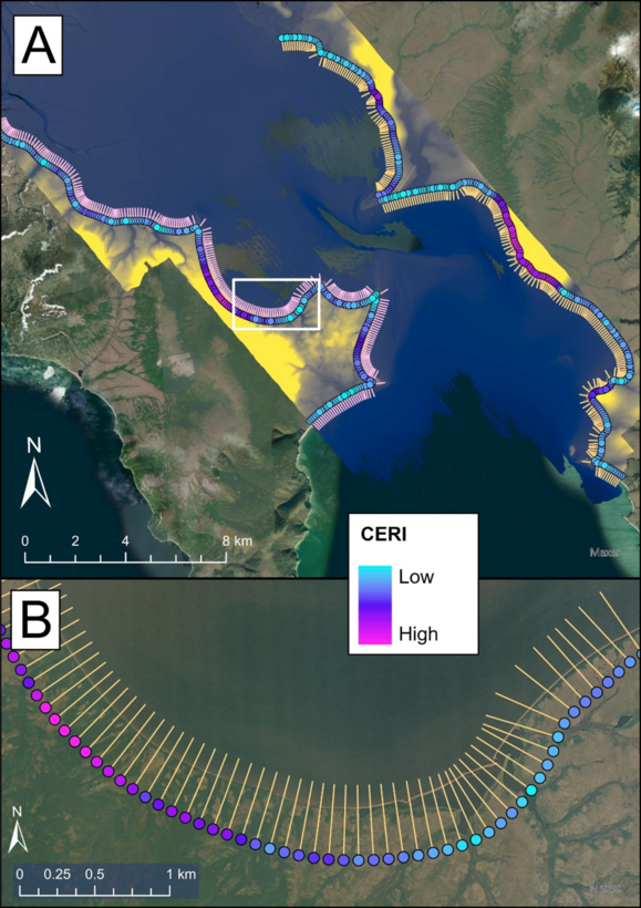 A set of GIS maps, A displaying the transects and baseline along Golovin, AK. These are overlaid by points along the most landward edge of each transect (where the baseline is). One point is assigned to each transect, seen at a smaller scale in figure B. The scale of colors of CERI points goes from Blue to Pink, with blue correlating to low CERI values and pink to high CERI values.